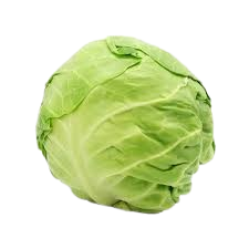 Green Cabbage