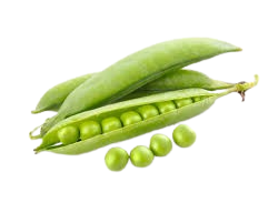 Green Peas