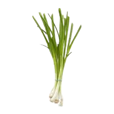 Green Onion