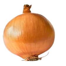 Brown Onion