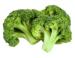 Broccoli