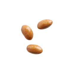 Crunchy Kri Kri