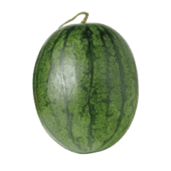 Watermelon 6-10kg