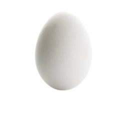 Egg 1Pc